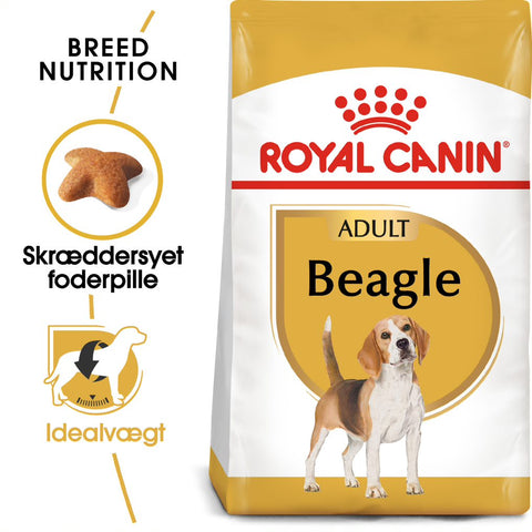 Adult Beagle 12 kg