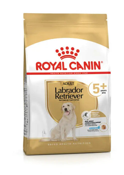 Adult Labrador Retriever 5+ 12 Kg