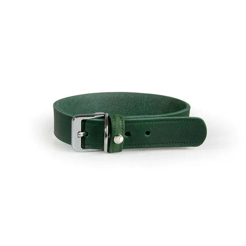 Læder halsbånd Weinheim 37-42 cm grøn bred