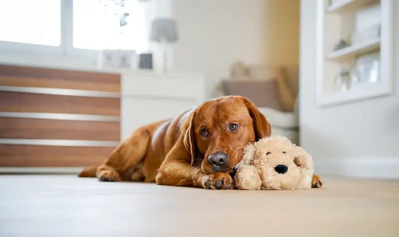 Hundelegetøj Heartbeat hund S-M