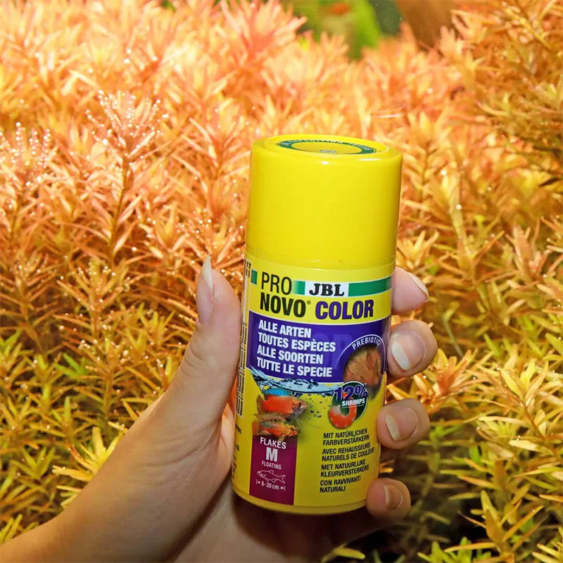 Pronovo Color Flagerm 250 ml
