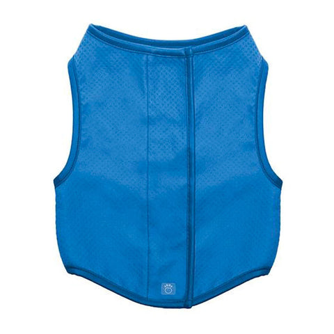 Ice vest