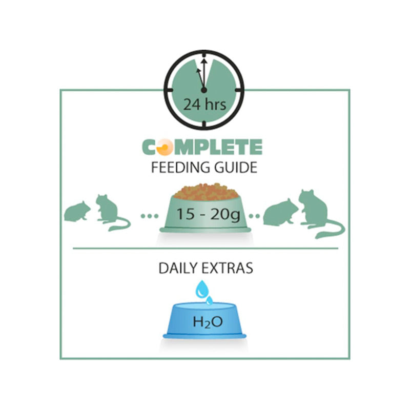 Hamster Complete 2 kg